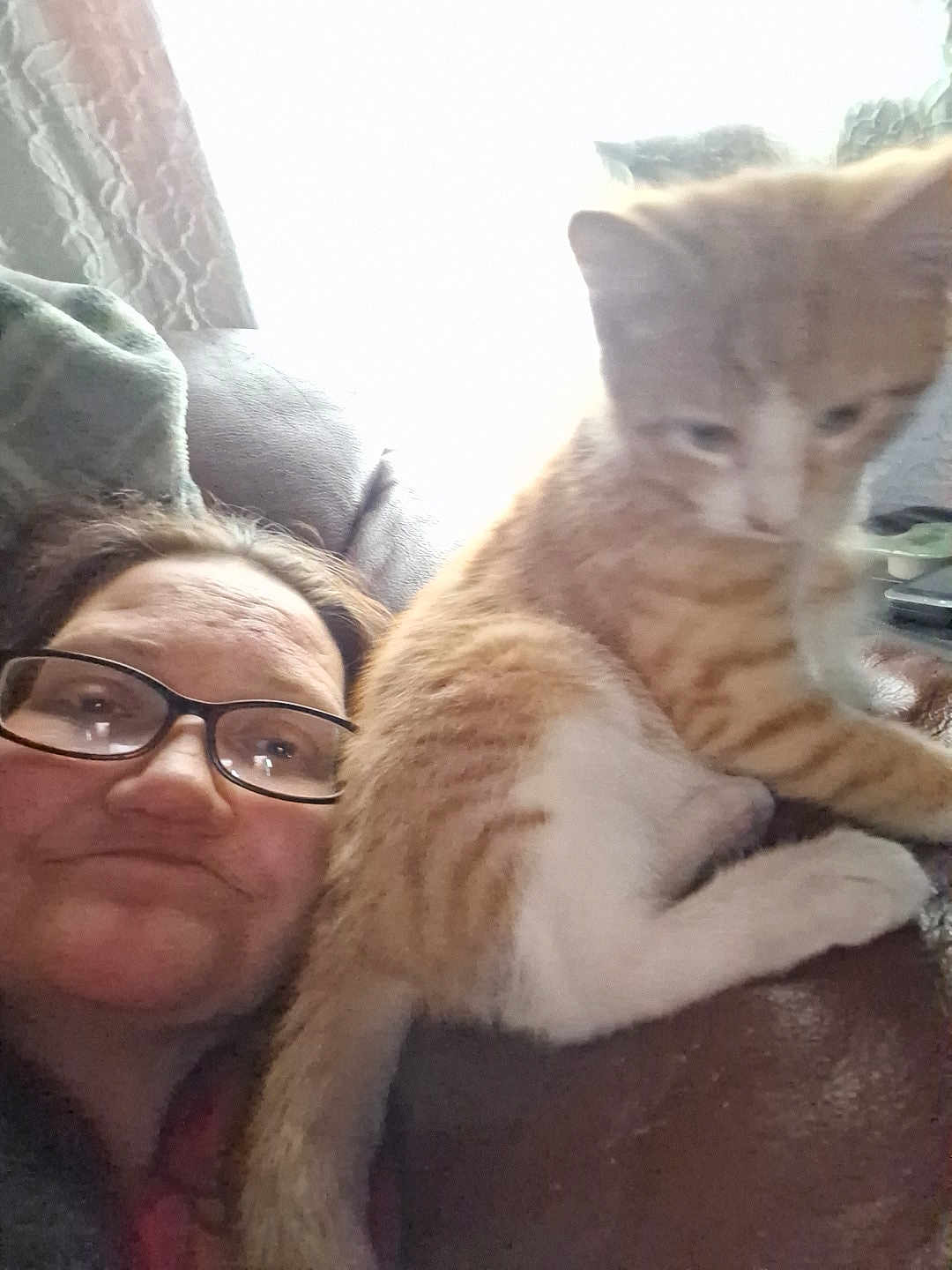 Toni is registered to the contest to win money with this photo: woman, glasses, cat, orange_cat, white_cat, couch, indoor, pet, relaxing, furniture, closeup, home, casual, comfort, fur, portrait, face, whiskers, blurred, light