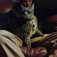 Tigger is registered to the contest to win money with this photo: cat, person, glasses, couch, collar, indoor, pants, sitting, pet, furniture, dim_lighting, hanger, relaxed, home, animal, brown, white_socks, chain, beige_pants, casual