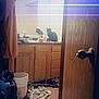 bathroom, black_cat, bucket, cabinet, cat, clothes, clutter, countertop, door, doorknob, floor, household, indoor, lighting_effect, messy, mirror, orange_cord, plastic_bottle, reflection, towel