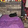Sylvester joined the competition — help win amazing prizes! bedroom, black_cat, blanket, casual, clutter, cozy, cup, domestic, furniture, indoor, nightstand, pet, plaid, purple_bedspread, purple_pillow, red_and_black, relaxation, resting, sleeping, wooden_headboard
