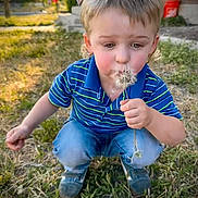 Hunter joined the competition — help win amazing prizes! child, boy, dandelion, grass, outdoor, nature, flower, blue_shirt, crouching, curious, daylight, casual_clothing, short_hair, greenery, yard, summer, plant, toy_bucket, portrait, young_child