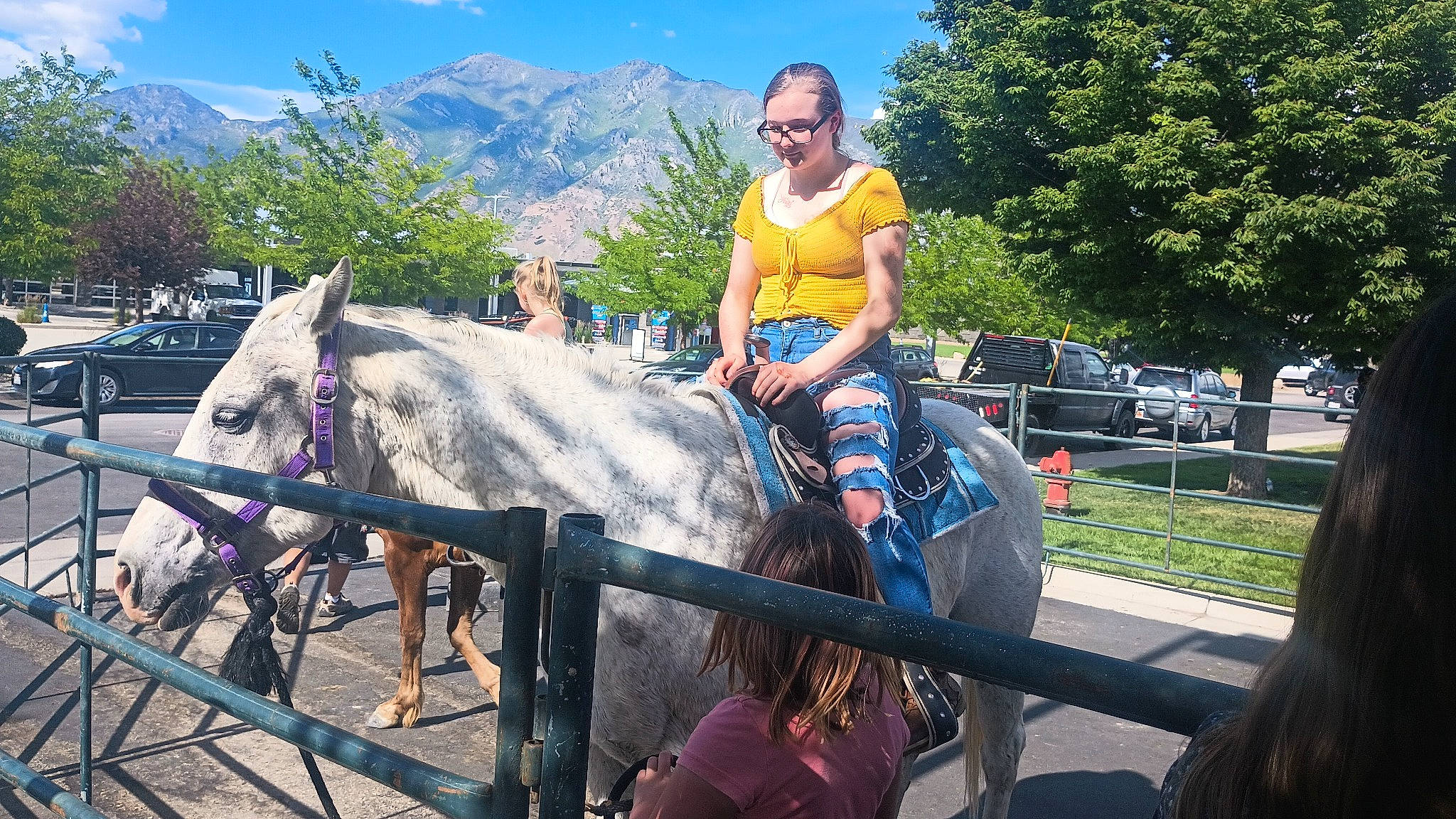 Makayla is registered to the contest to win money with this photo: bridle, equestrian_sport, equestrianism, fence, halter, horse, horse_supplies, horse_tack, landscape, leisure, mane, mountain, outdoor_recreation, person, plant, rein, saddle, sky, travel, tree