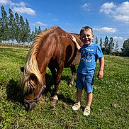 Gabin a rejoint le concours — aidez-le/la à gagner de superbes lots ! animal, blue_sky, boy, casual_clothing, child, clouds, field, grass, grass_field, hand_on_animal, happy, nature, outdoor, pony, shoes, shorts, smiling, summer, sunlight, trees