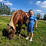 animal, blue_sky, boy, casual_clothing, child, clouds, field, grass, grass_field, hand_on_animal, happy, nature, outdoor, pony, shoes, shorts, smiling, summer, sunlight, trees