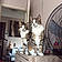 Athena Et Atlas