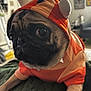dog, pug, costume, hoodie, orange, indoor, pet, animal, face, ears, blanket, furniture, wall_art, cute, portrait, closeup, expression, resting, cozy, domestic