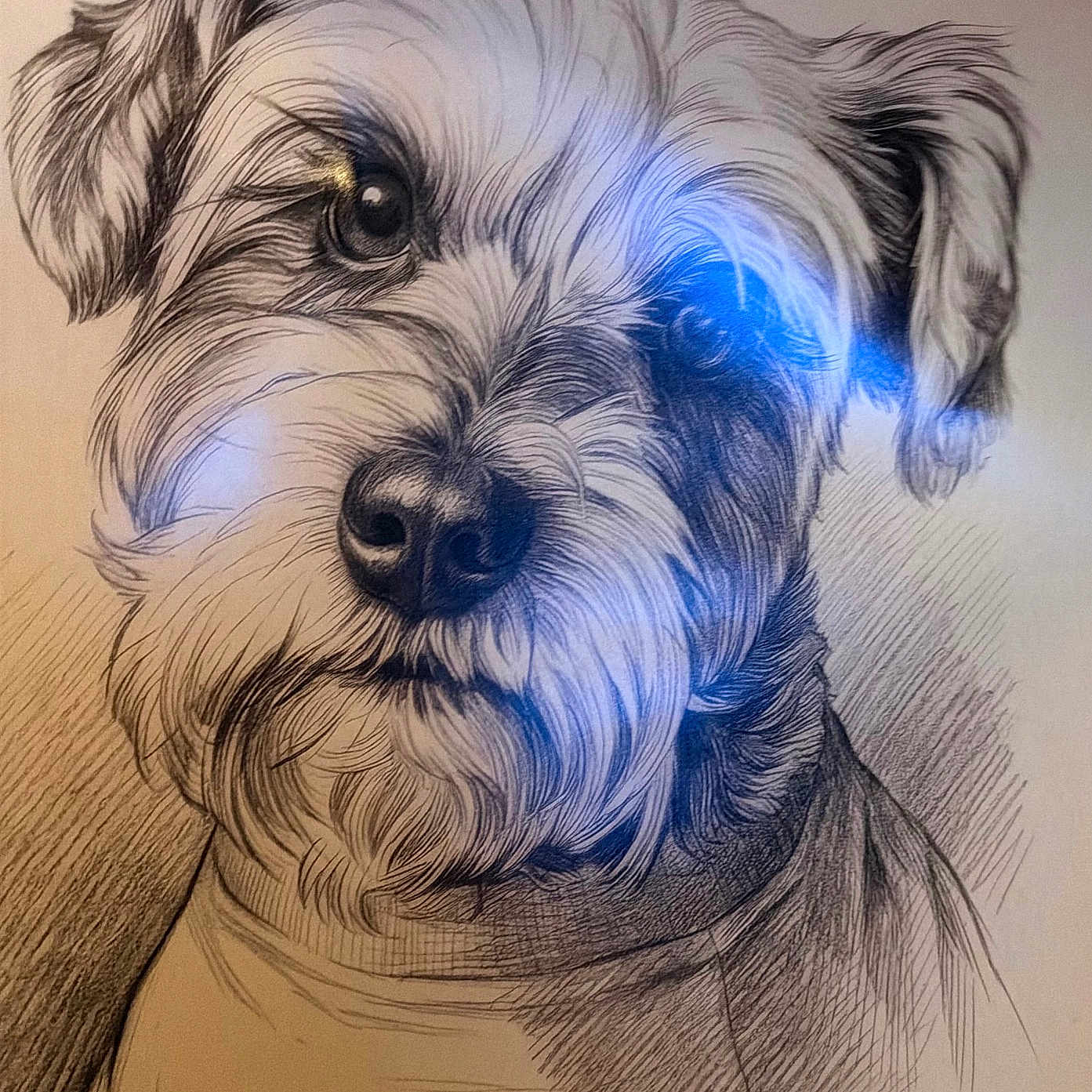Dak