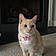 Princess Mipsy
