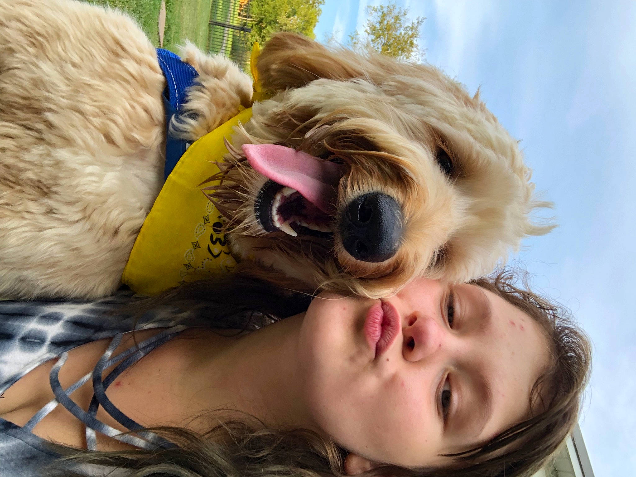 Blair joined the competition — help win amazing prizes! blond, carnivore, companion_dog, dog, dog_breed, eyelash, eyewear, fawn, goggles, happy, headgear, personal_protective_equipment, selfie, sky, snout, sunglasses, toy, vision_care, working_animal, yellow