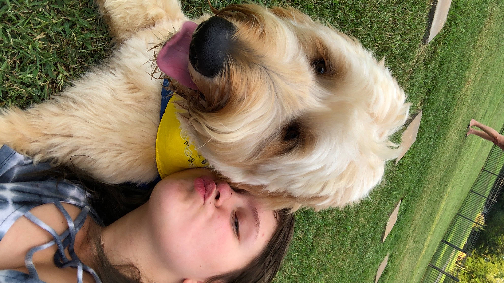 Blair is registered to the contest to win money with this photo: carnivore, collar, companion_dog, dog, dog_breed, dog_collar, dog_supply, eyelash, fawn, fur, grass, happy, pet_supply, snout, sporting_group, sunglasses, toddler, toy_dog, vertebrate, working_animal