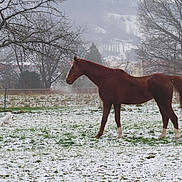Vlachic participe au concours pour gagner de l'argent avec cette photo :