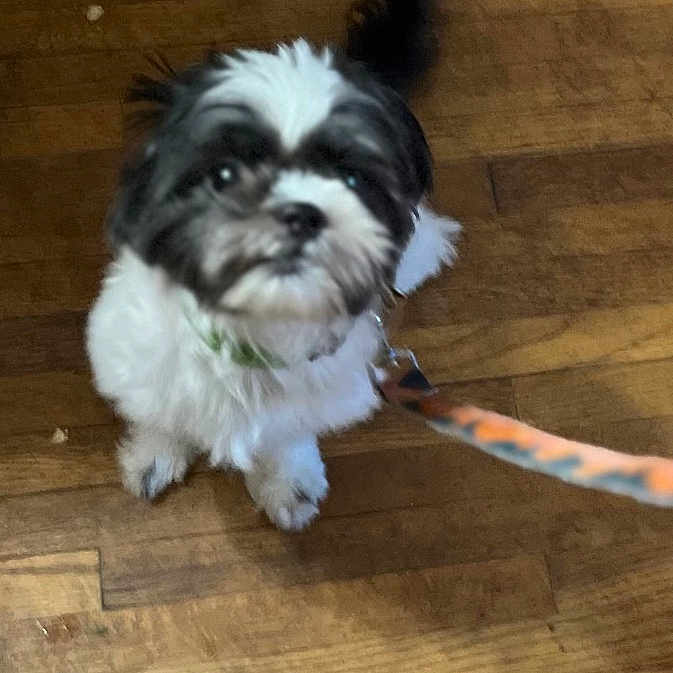 Max
