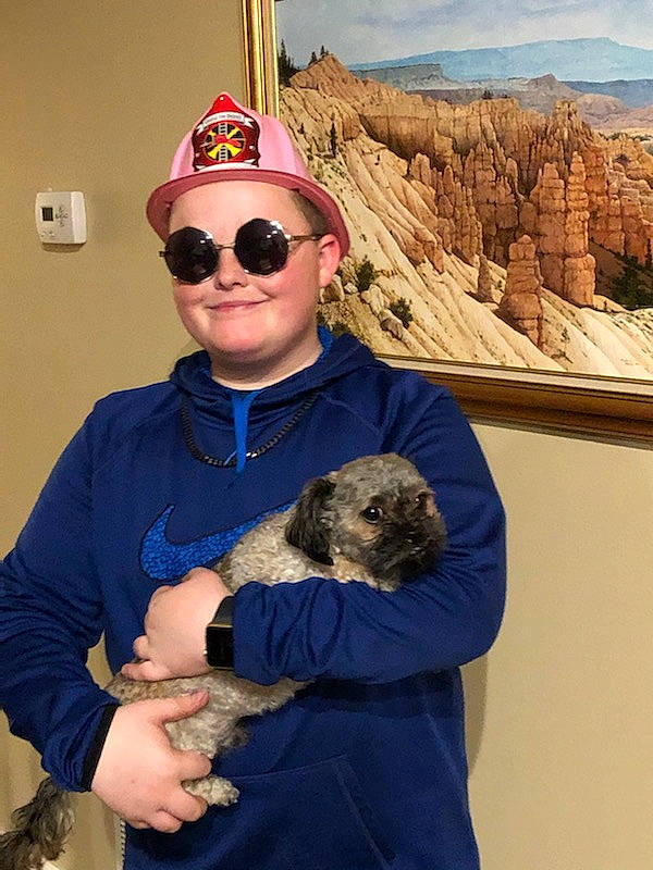 Rockey joined the competition — help win amazing prizes! border_terrier, canidae, carnivore, dog_breed, labradoodle, morkie, puppy, schnoodle, wildlife_biologist