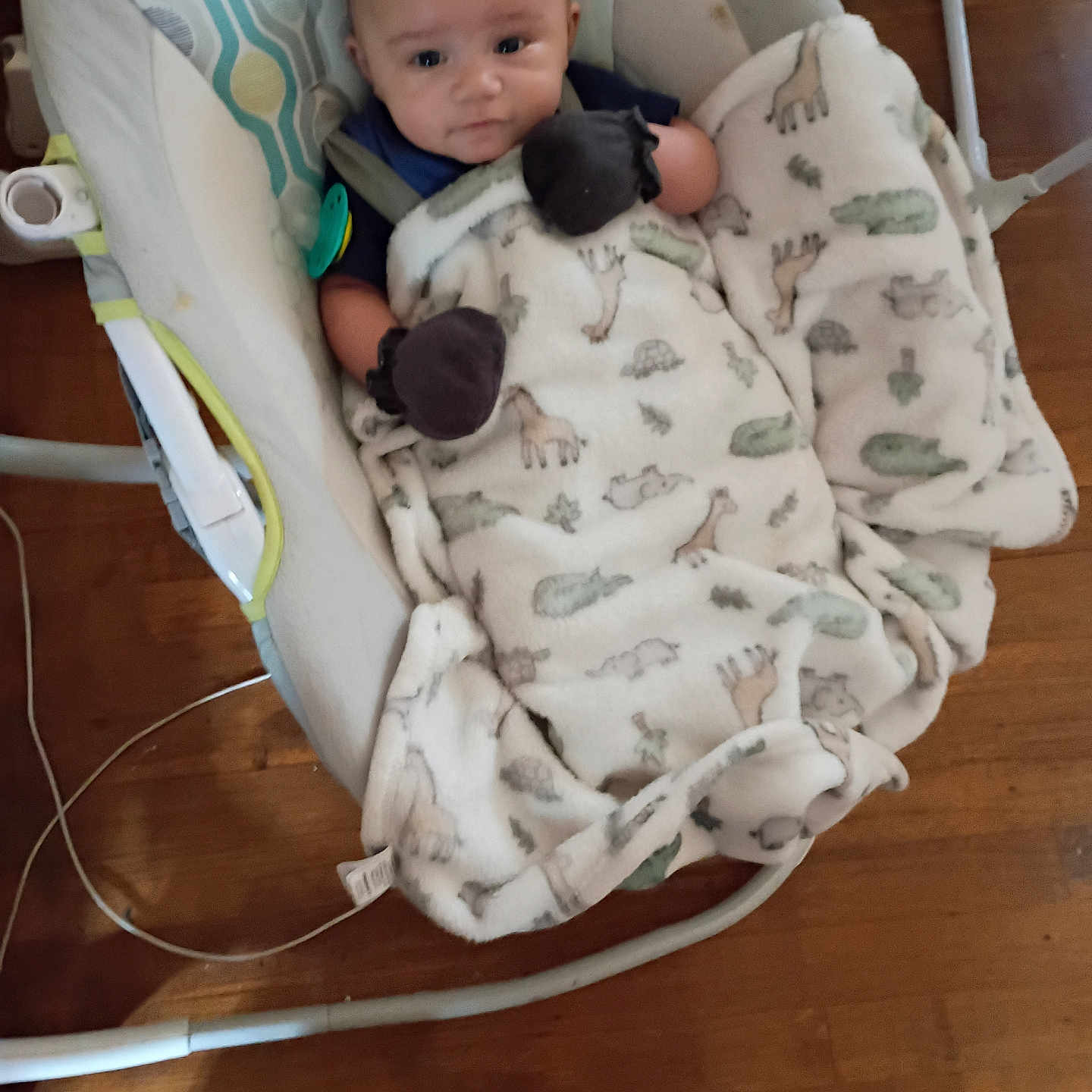 Avalon joined the competition — help win amazing prizes! animal_print, baby, baby_accessory, baby_bedding, baby_rocker, blanket, child, clothing, comfort, cozy, cute, face, floor, indoor, infant, mittens, person, resting, seat, wood_floor