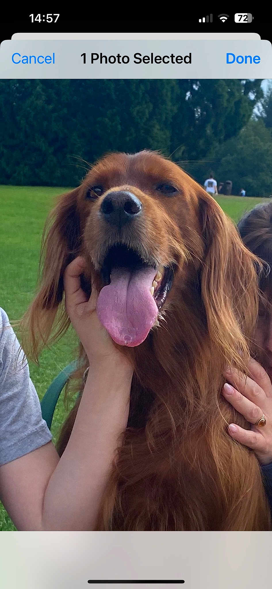 Louie