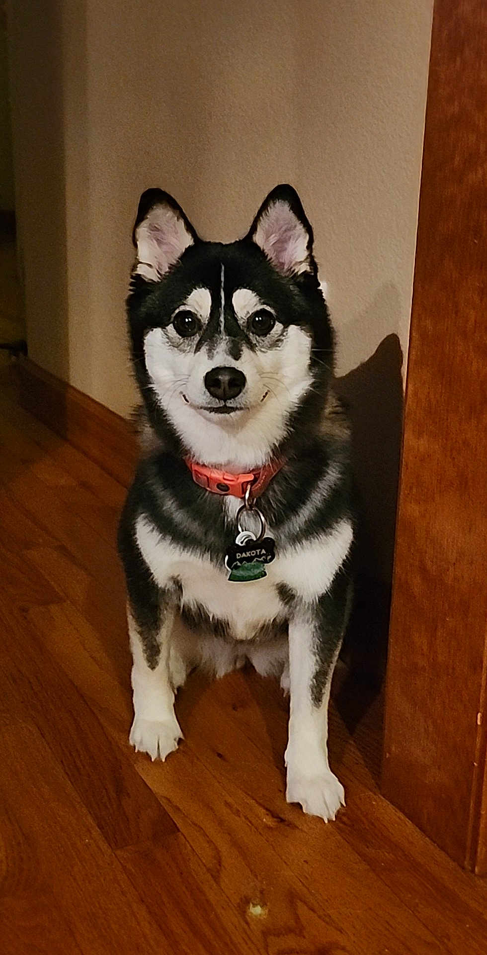 Dakota