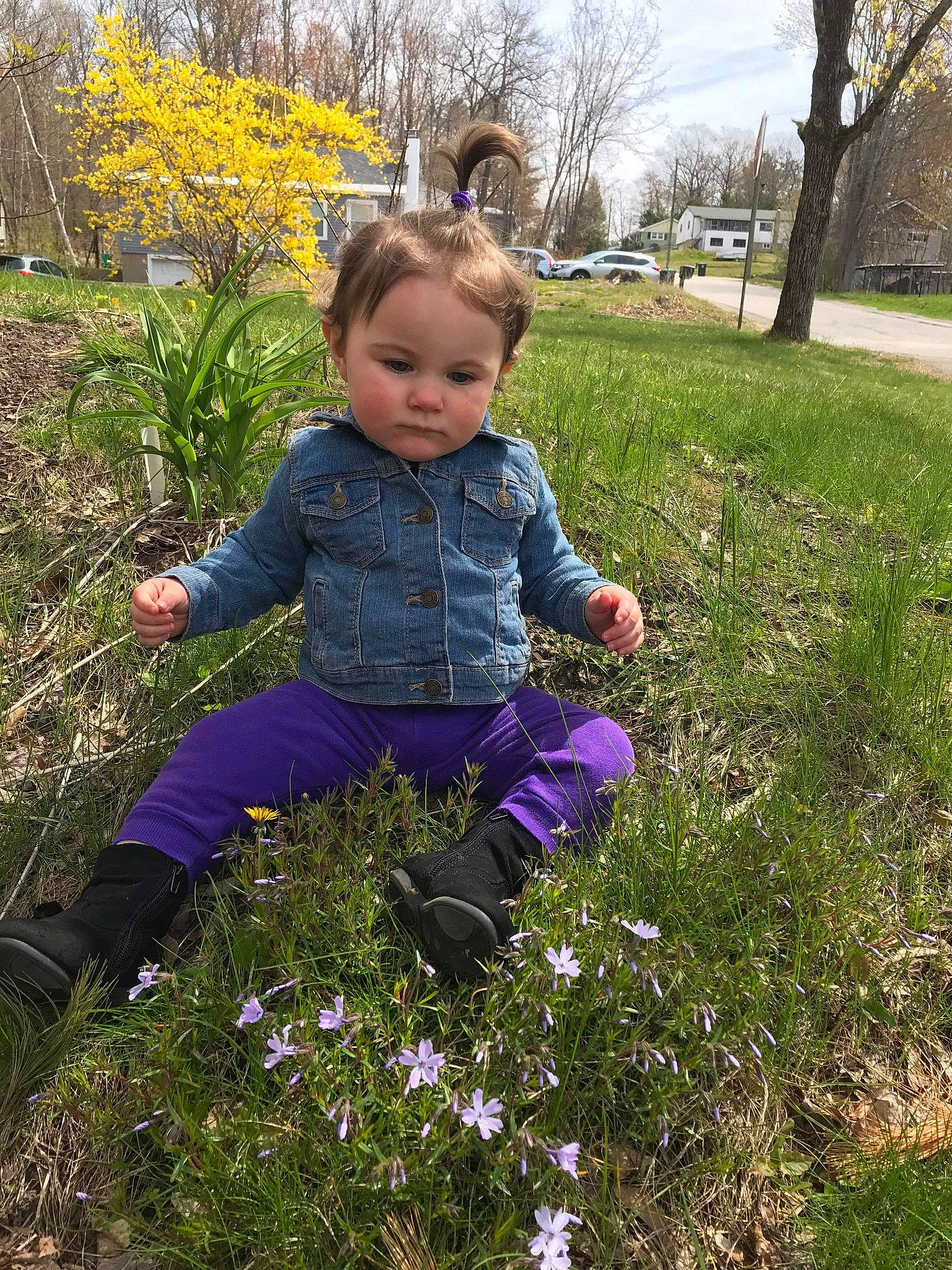 Aila is registered to the contest to win money with this photo: botany, child, flower, garden, grass, lawn, leaf, meadow, person, plant, smile, spring, toddler, tree, viola, violet_family, wildflower