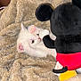 Ellie joined the competition — help win amazing prizes! kitten, white_cat, plush_toy, blanket, soft_texture, cute, pet, animal, indoor, feline, toy, playing, cozy, fur, small_animal, domestic_cat, mammal, resting, closeup, cute_animal
