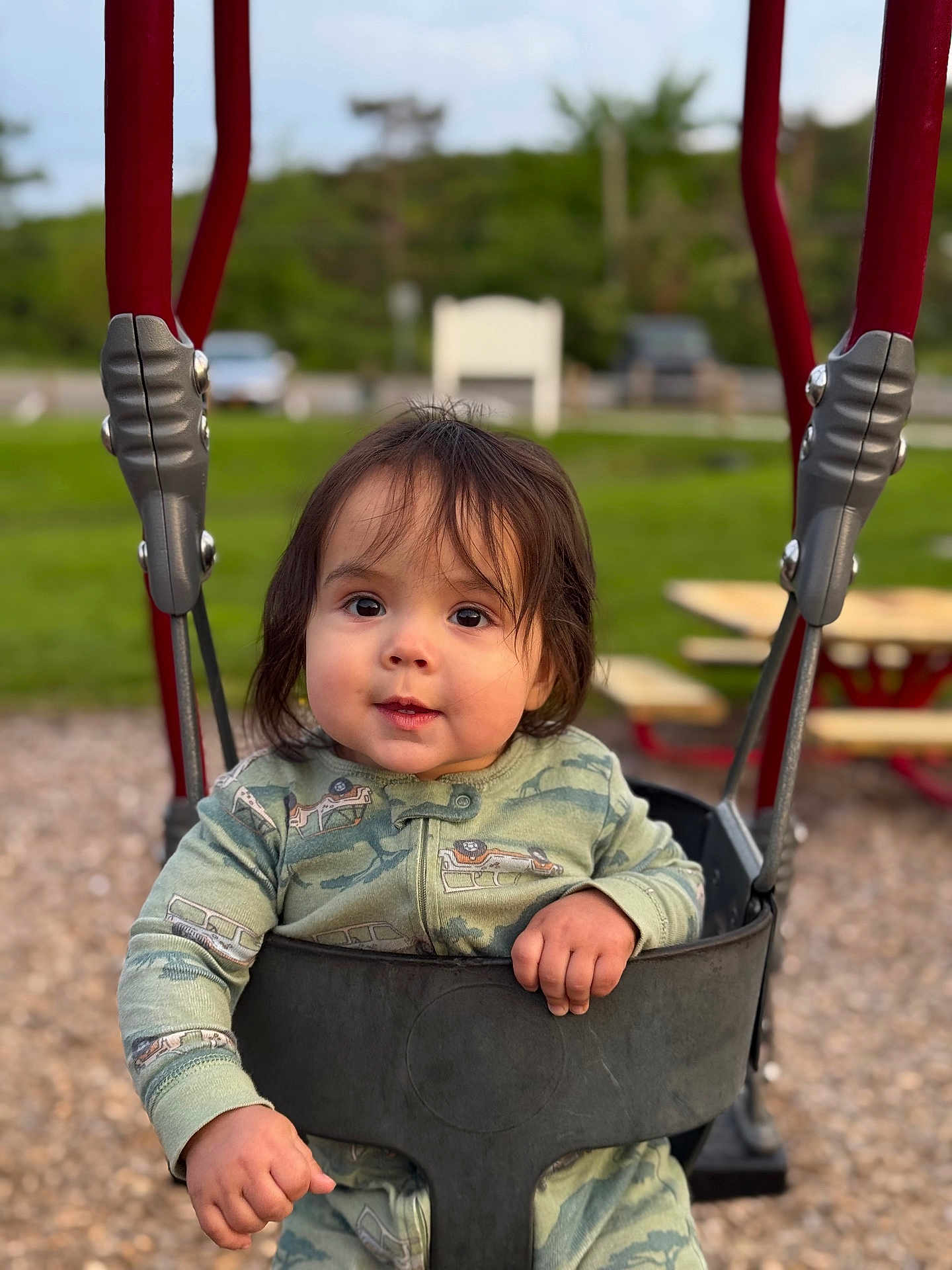 Jaxon is registered to the contest to win money with this photo: toddler, child, swing, playground, outdoor, green_onesie, car_prints, black_swing, happy, cute, baby, person, park, daylight, grass, woodchips, smile, face, hair, fun