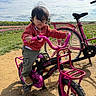 bicycle, casual_clothing, child, cloudy_sky, daylight, dirt_path, field, flowers, grass, nature, outdoor, person, pink_bike, play, portrait, red_sweater, shoes, toddler, wind, young