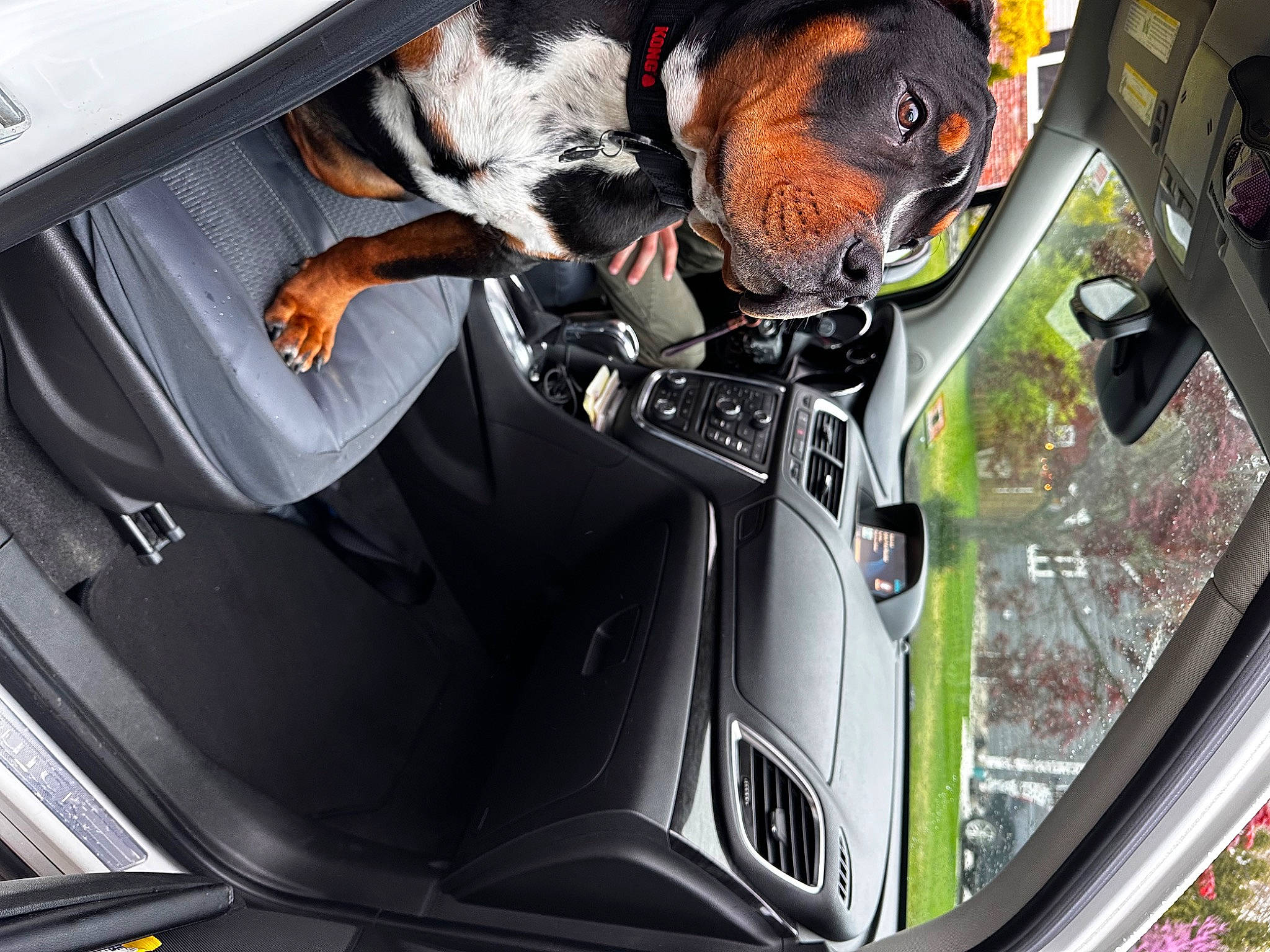 Bullet joined the competition — help win amazing prizes! automotive_design, automotive_exterior, automotive_lighting, automotive_mirror, automotive_tail_brake_light, automotive_tire, bumper, carnivore, dog, fender, headlamp, hood, light, motor_vehicle, motorcycle, personal_luxury_car, rear_view_mirror, rim, vehicle, vehicle_door