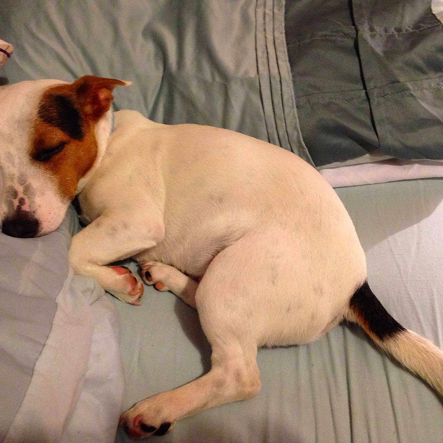 Dudley is registered to the contest to win money with this photo: