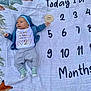 baby, baby_boy, baby_girl, blanket, clothing, cute, fox_print, grass, hoodie, infant, lying_down, milestone, nature, numbers, one_month, outdoor, person, socks, tree_print, wooden_sign