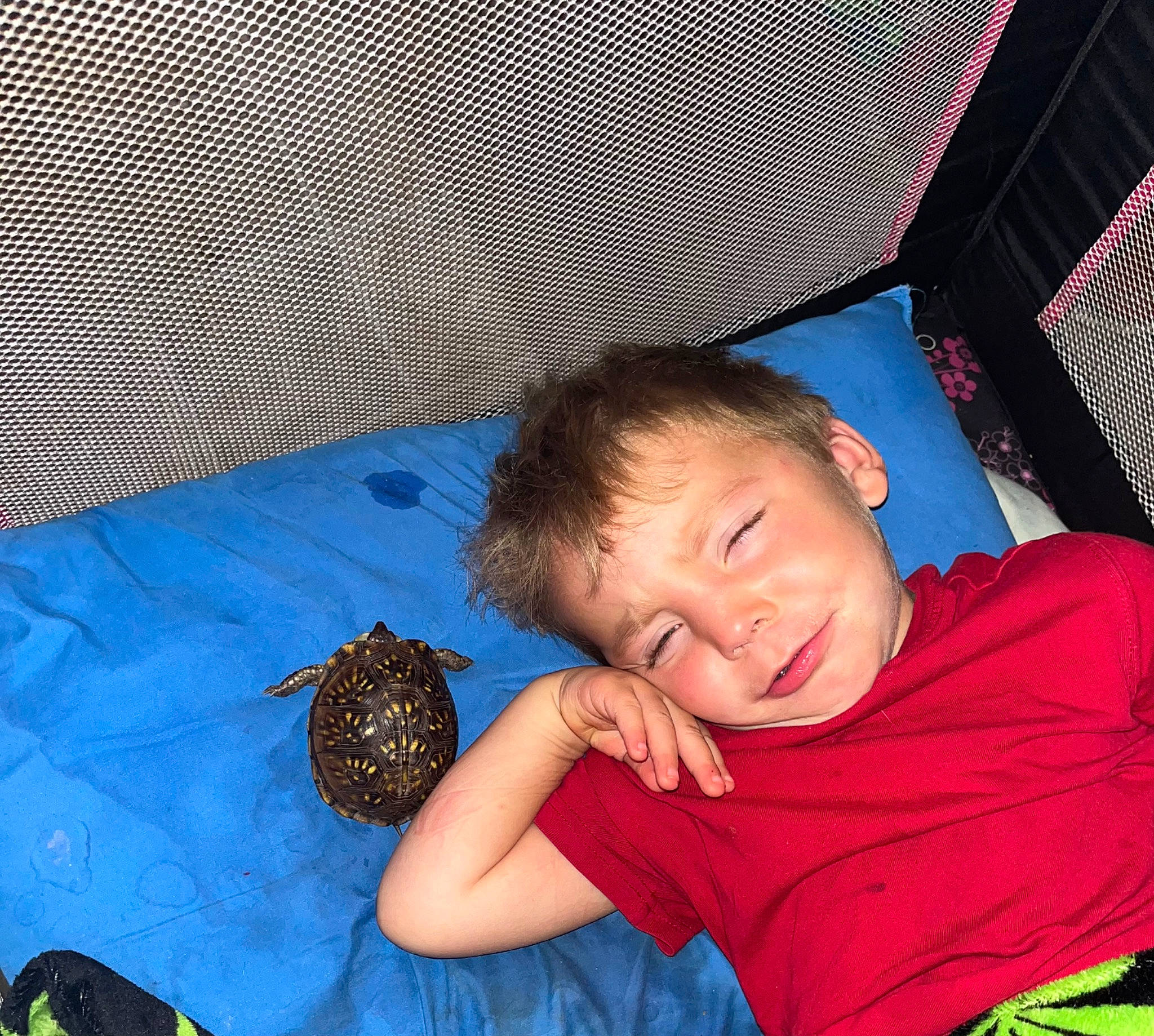 Jaelynn joined the competition — help win amazing prizes! baby, baby_toddler_clothing, bedtime, child, comfort, couch, electric_blue, face, fun, grass, happy, human_body, leisure, mammal, person, play, room, sitting, smile, t_shirt