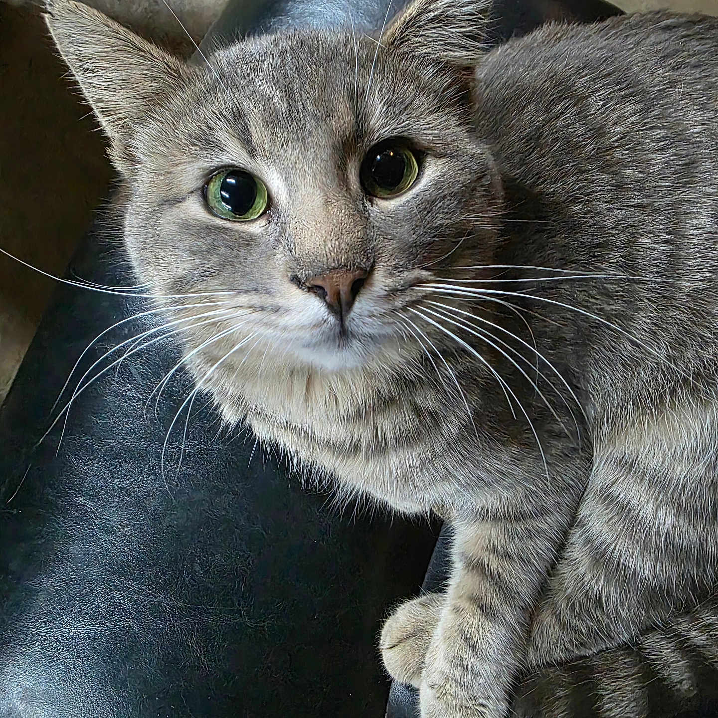 Tony