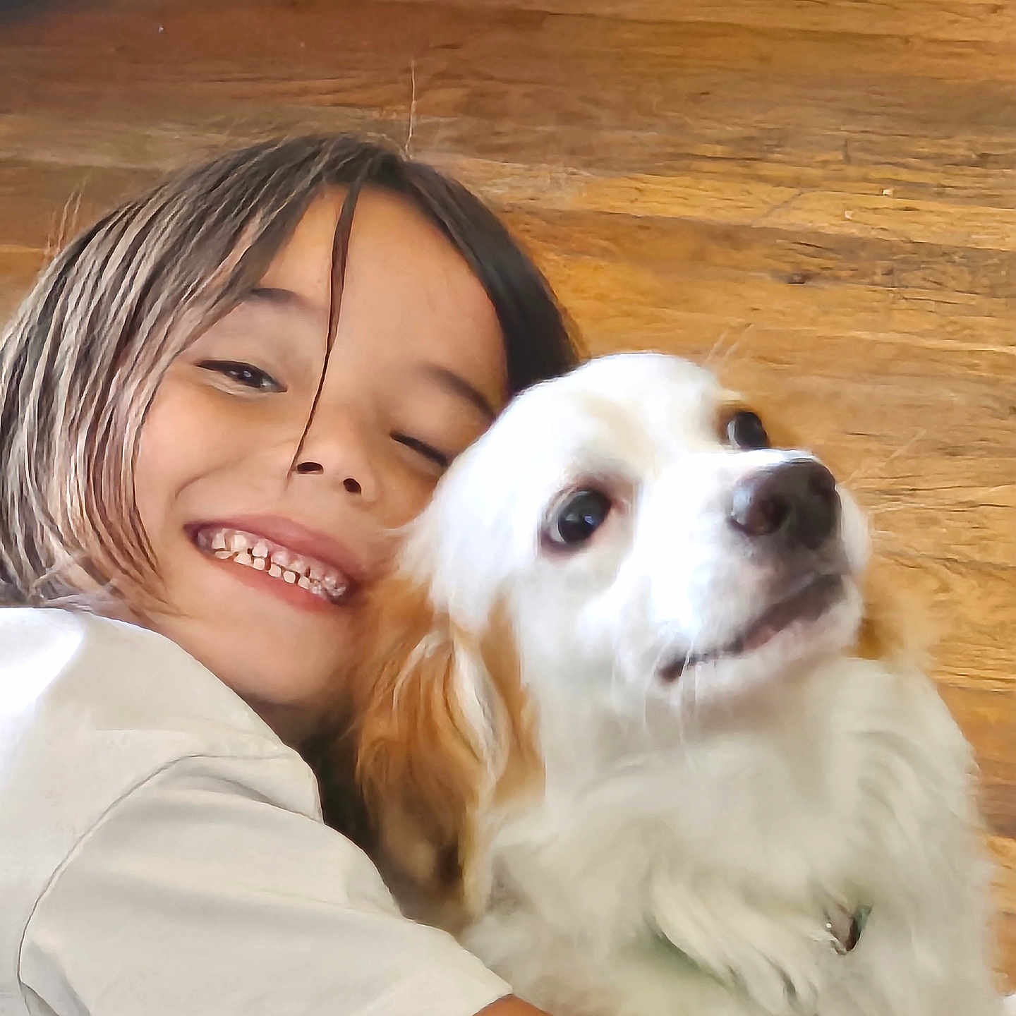 Vanessa is registered to the contest to win money with this photo: child, dog, hug, smile, happy, pet, white_dog, brown_hair, floor, wood_floor, cute, friendship, indoor, person, animal, fur, face, toddler, affection, playful