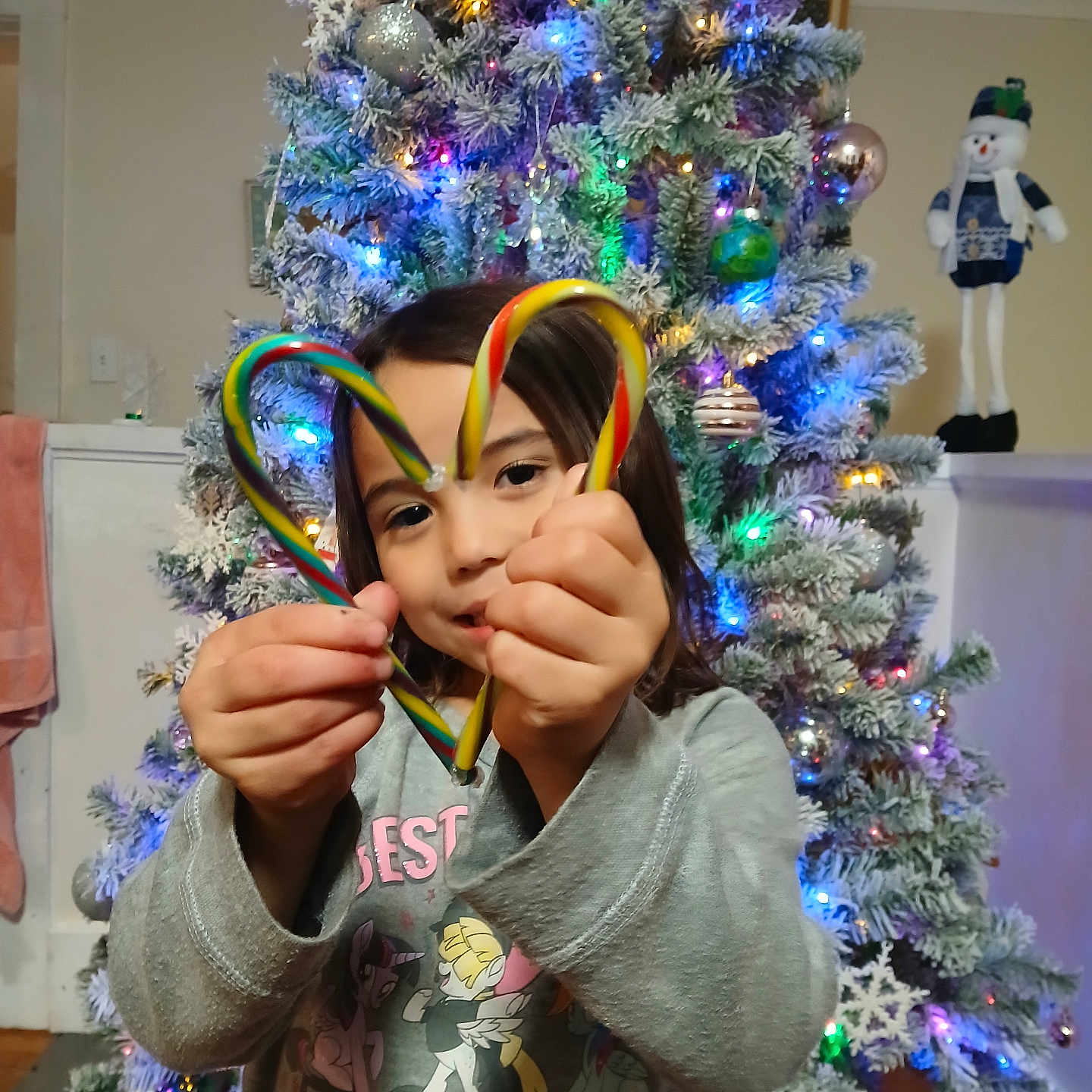 Vanessa is registered to the contest to win money with this photo: candy_cane, celebration, child, christmas_tree, colorful, decoration, festive, fun, happy, heart_shape, holiday, home, indoor, lights, person, seasonal, smile, sweatshirt, toy, winter