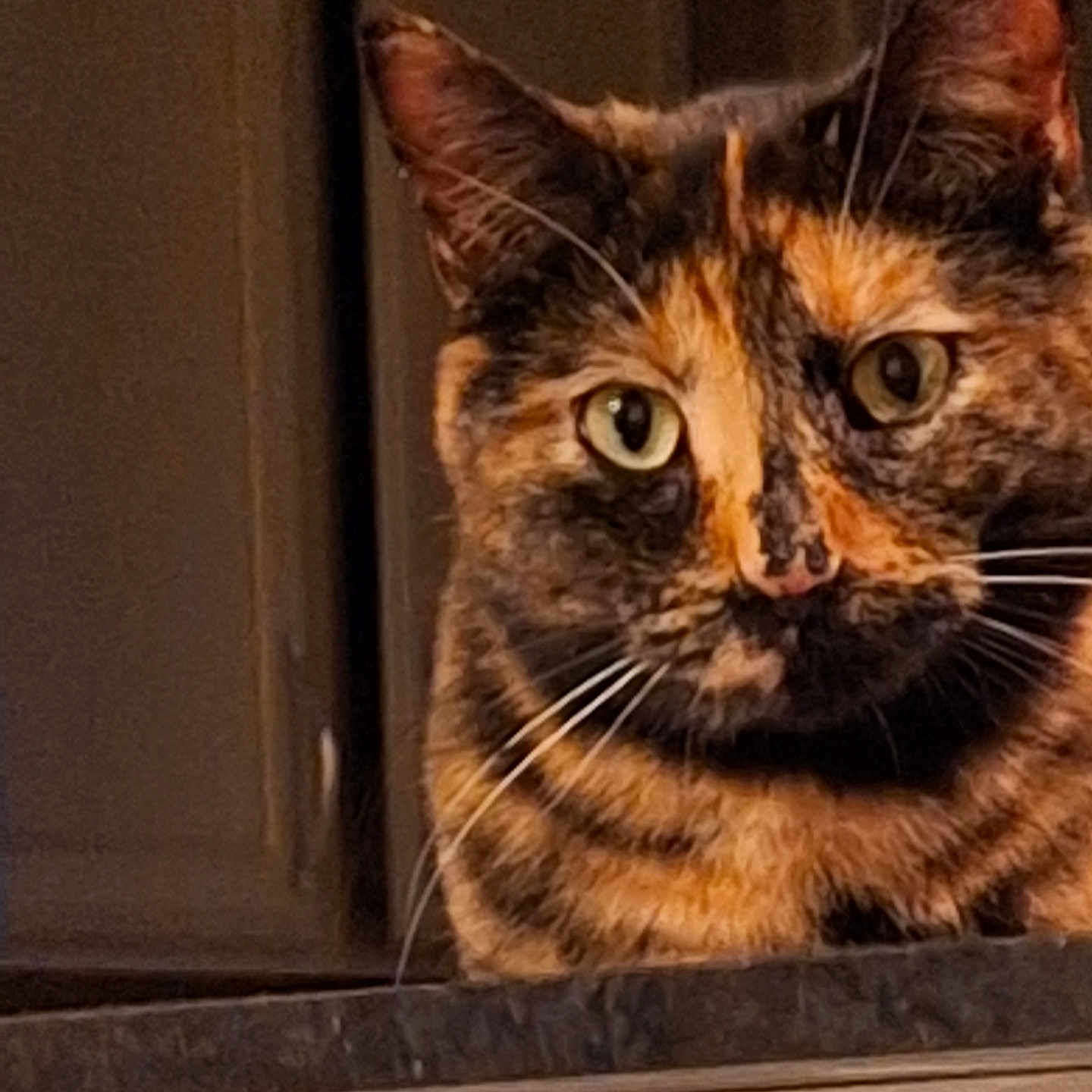 Amber