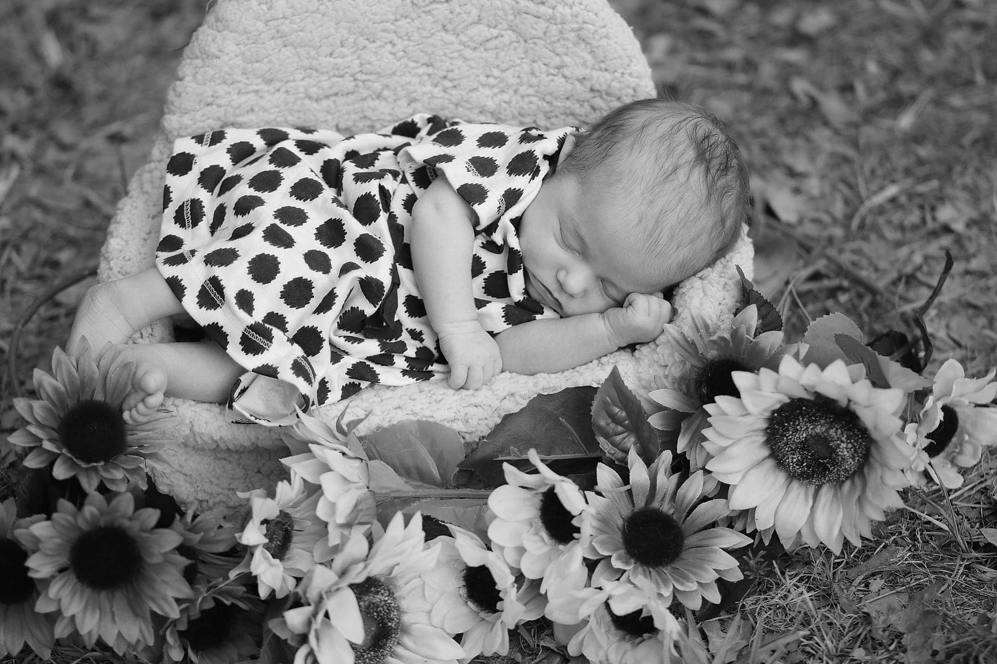 Emily joined the competition — help win amazing prizes! adaptation, baby, baby_toddler_clothing, black_and_white, child, flower, monochrome, monochrome_photography, person, photograph, photography, plant, still_life_photography, stock_photography, toddler, wildflower