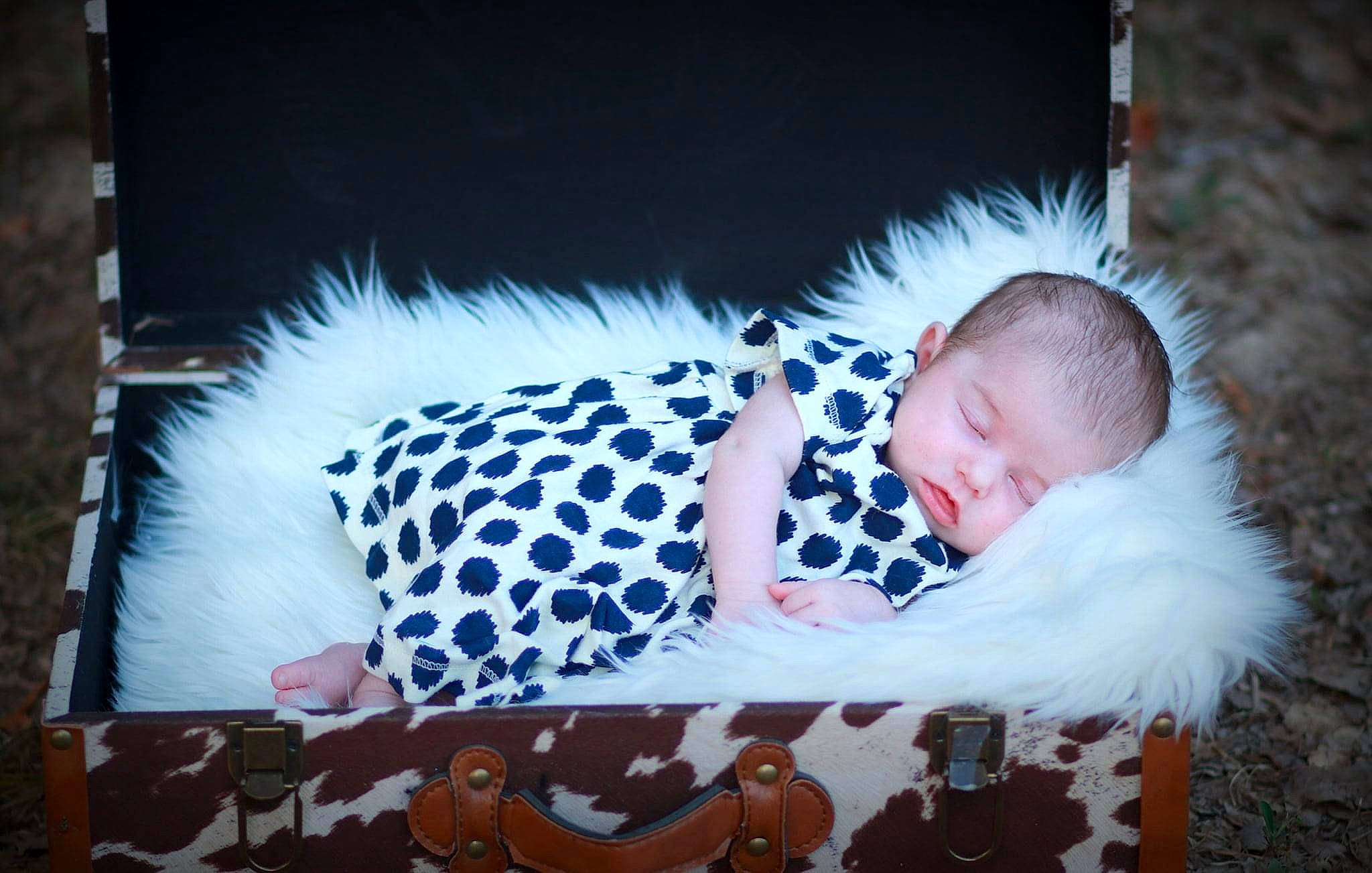 Emily is registered to the contest to win money with this photo: baby, child, fur, nap, person, sleep, toddler