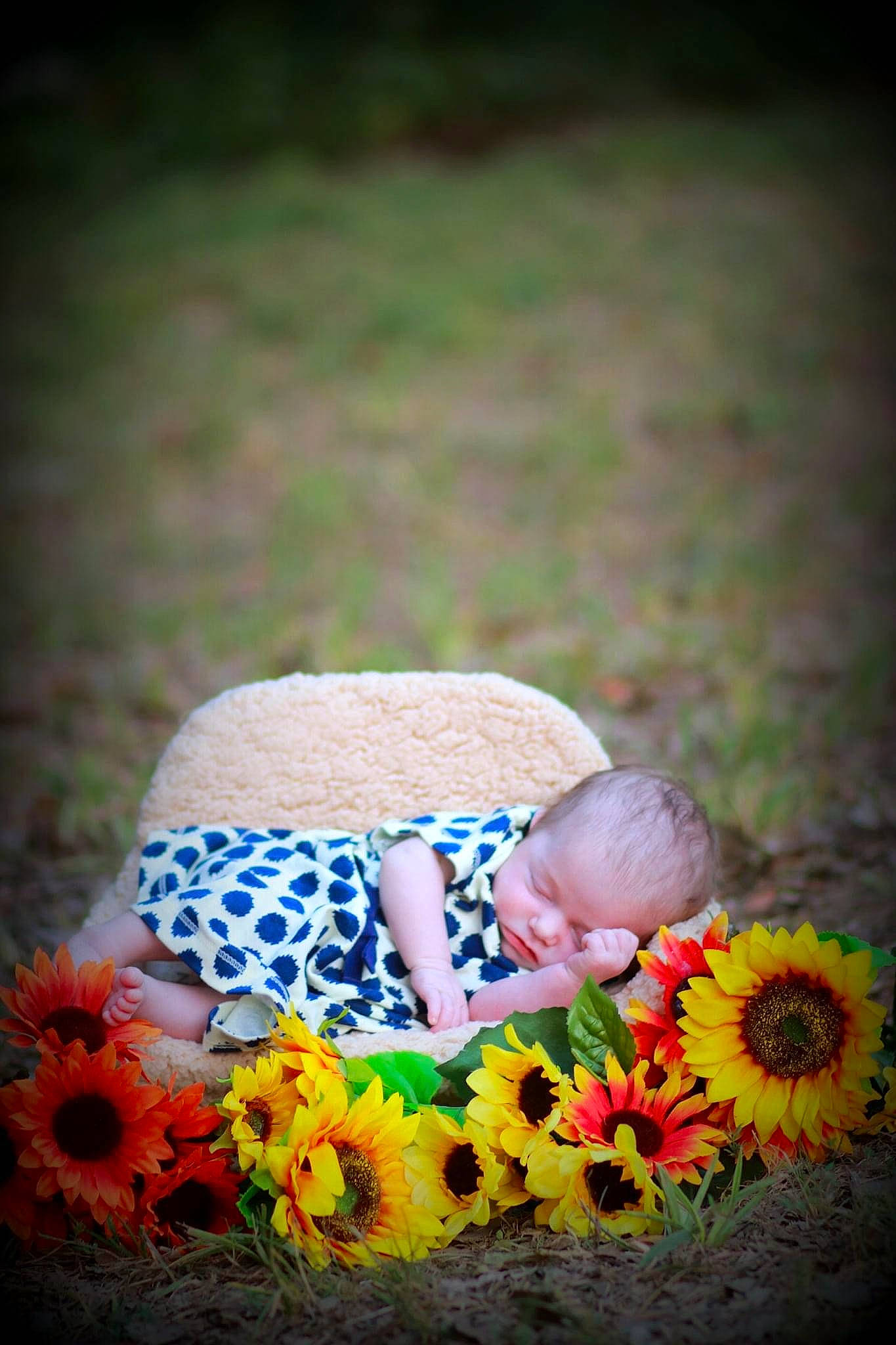 Emily is registered to the contest to win money with this photo: baby, baby_toddler_clothing, child, daisy_family, fashion_accessory, flower, gerbera, grass, hat, headgear, person, photograph, photography, plant, product, sun_hat, sunflower, toddler, wildflower, yellow