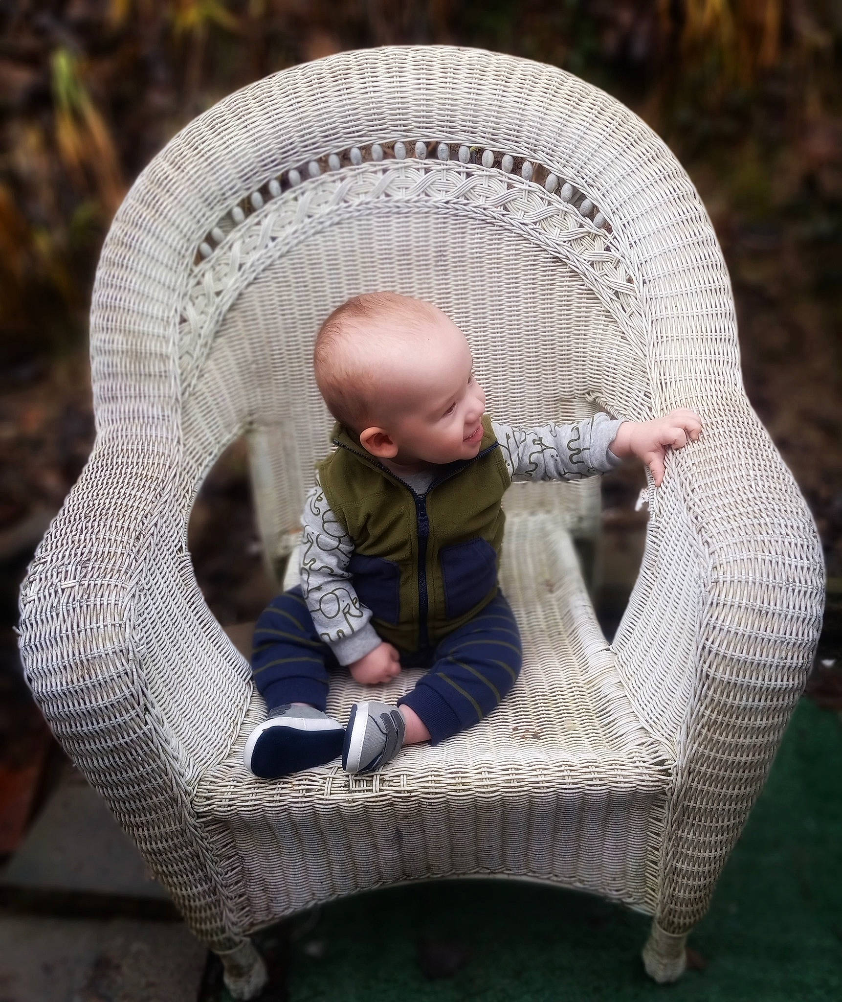 Samuel is registered to the contest to win money with this photo: baby, baby_carriage, baby_toddler_clothing, basket, botany, chair, comfort, grass, leaf, leisure, organ, outdoor_furniture, person, photograph, plant, sun_hat, sunglasses, toddler, vertebrate, white