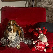 Amana a rejoint le concours — aidez-le/la à gagner de superbes lots ! dog, basset_hound, tinsel, red_couch, plush_toy, reindeer, holiday_decor, indoor, bookshelf, books, stone_wall, cozy, pet, christmas, festive, sitting, decor, living_room, soft_toy, animal