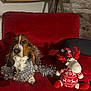 dog, basset_hound, tinsel, red_couch, plush_toy, reindeer, holiday_decor, indoor, bookshelf, books, stone_wall, cozy, pet, christmas, festive, sitting, decor, living_room, soft_toy, animal