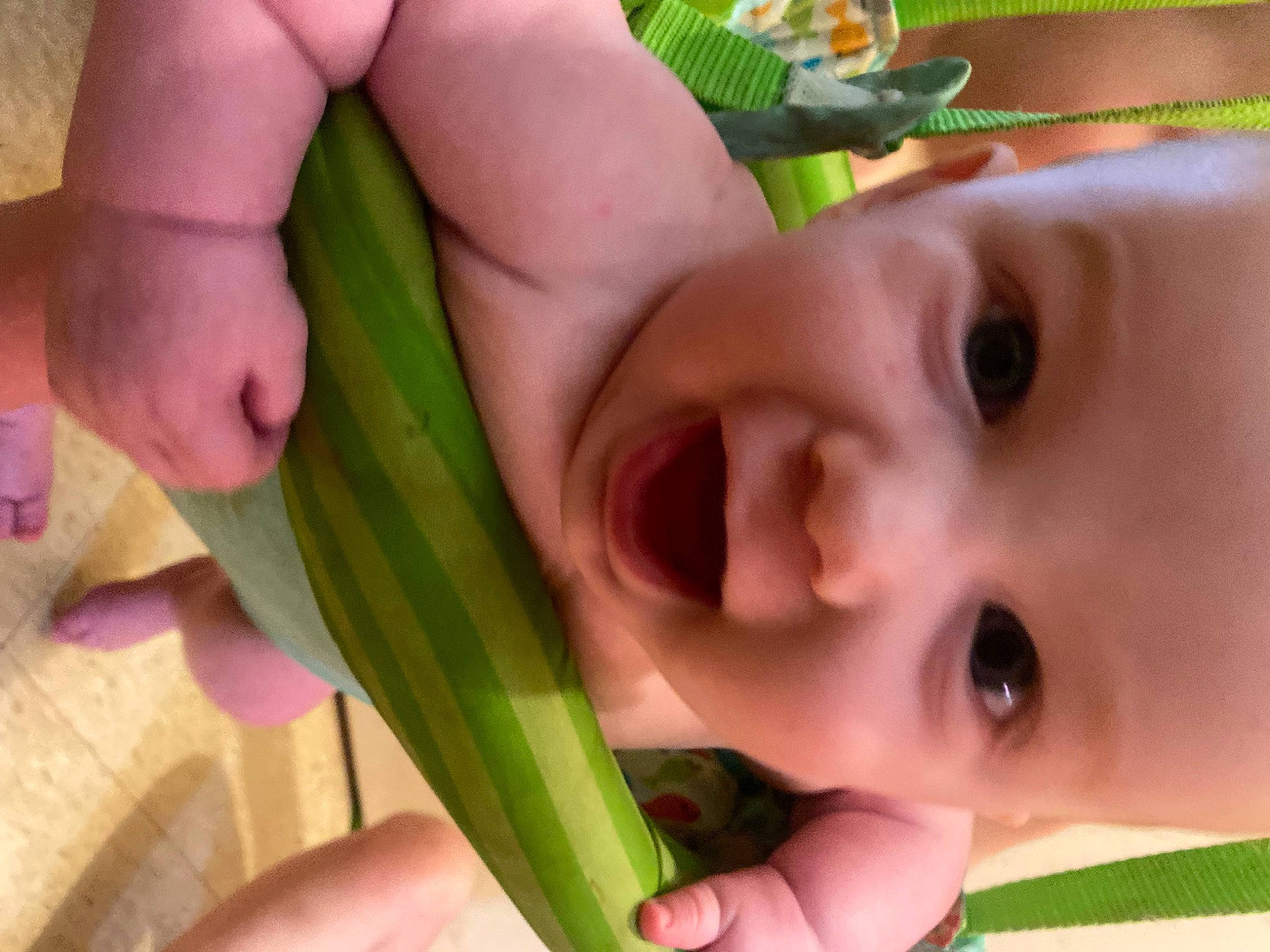 Abel joined the competition — help win amazing prizes! cheek, chin, eye, eyebrow, eyelash, face, green, hair, hairstyle, hand, head, leaf, lip, mouth, nose, organ, person, photograph, plant, skin