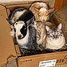 baby_goat, kitten, cardboard_box, hay, indoor, animal, fur, cute, snuggling, cozy, pet, floor_tile, brown, white, black, tabby_cat, young_animal, resting, domestic_animal, companion