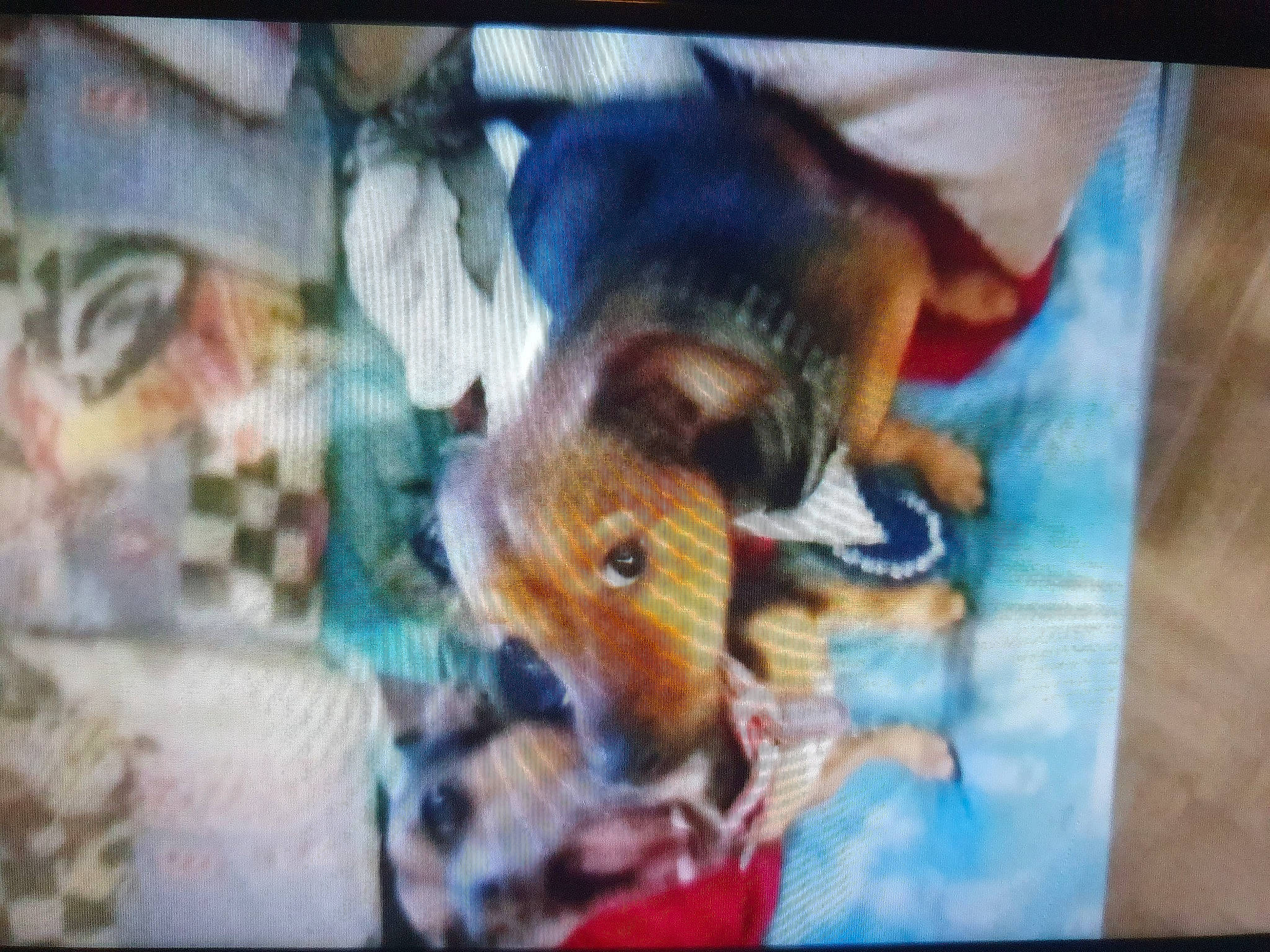 Stitch participe au concours pour gagner de l'argent avec cette photo : ancient_dog_breeds, art, canidae, carnivore, comfort, companion_dog, dog, dog_breed, fur, guard_dog, hound, painting, paw, snout, sporting_group, tail, toy_dog, visual_arts, working_animal, working_dog