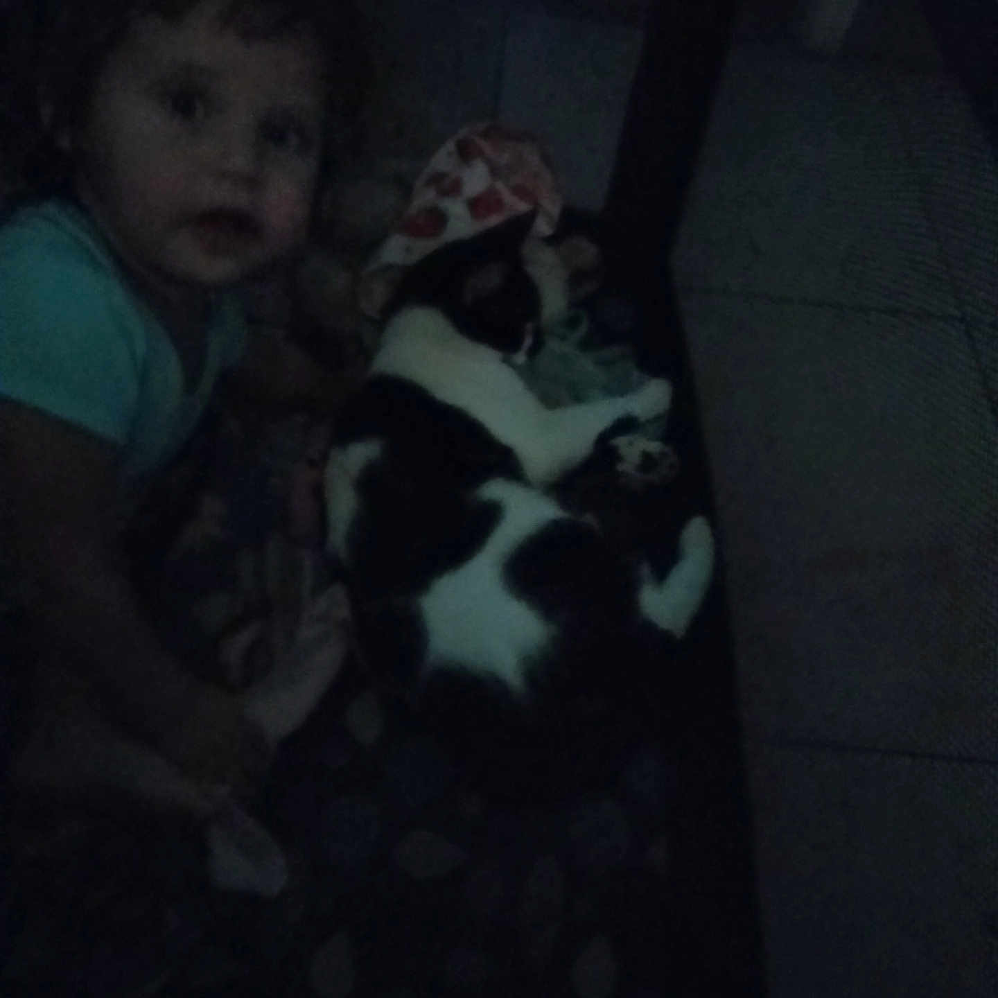 Nevaeh Philpot joined the competition — help win amazing prizes! animal, black_and_white_cat, blanket, cat, child, cozy, crouching, curious_expression, cute, dim_light, floor, furniture, home, indoor, pattern, person, pet, resting, shadow, young_child