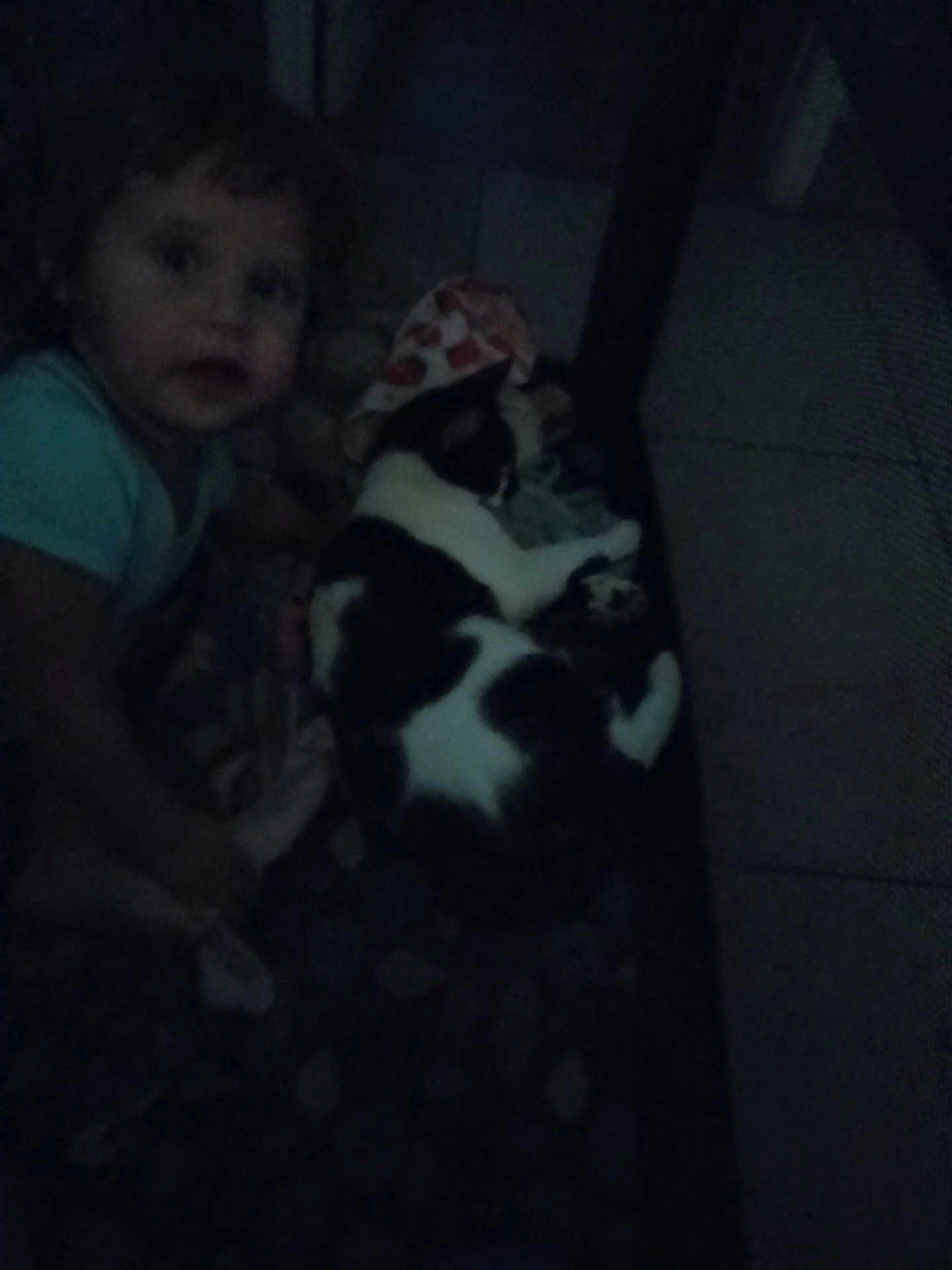 Nevaeh Philpot joined the competition — help win amazing prizes! animal, black_and_white_cat, blanket, cat, child, cozy, crouching, curious_expression, cute, dim_light, floor, furniture, home, indoor, pattern, person, pet, resting, shadow, young_child