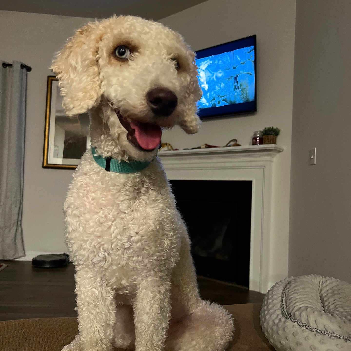 Rosie