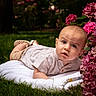 baby, child, infant, blanket, grass, flowers, outdoor, nature, portrait, curious, cute, garden, greenery, pink_flowers, clothing, shorts, shoes, face, skin, lying_down