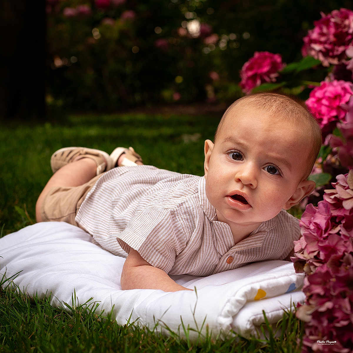 Sohan participe au concours pour gagner de l'argent avec cette photo : baby, child, infant, blanket, grass, flowers, outdoor, nature, portrait, curious, cute, garden, greenery, pink_flowers, clothing, shorts, shoes, face, skin, lying_down