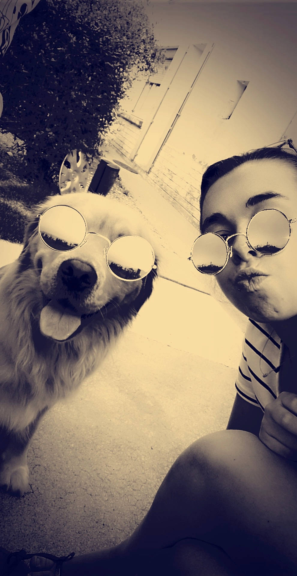 Nesquik a rejoint le concours — aidez-le/la à gagner de superbes lots ! canidae, carnivore, cool, dog, eye, eyewear, fun, glasses, head, human, nose, photography, puppy_love, selfie, smile, snapshot, snout, sporting_group, sunglasses, vision_care