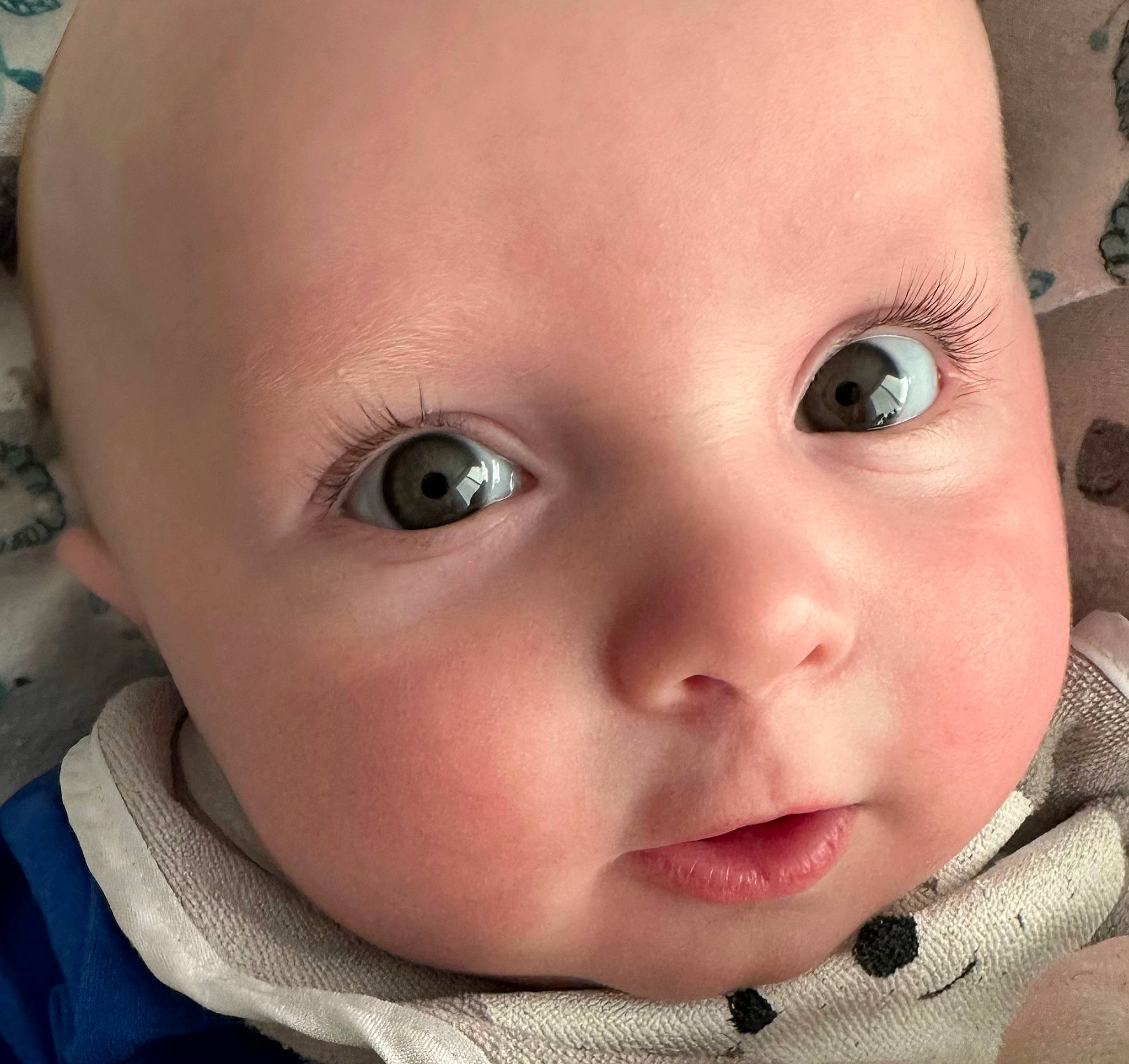 Jack is registered to the contest to win money with this photo: baby, baby_toddler_clothing, beauty, cheek, child, close_up, ear, eye, eyelash, forehead, happy, head, iris, lip, mouth, nose, person, product, skin, toddler