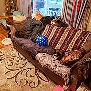 Kaiya is registered to the contest to win money with this photo: chair, couch, floor, flooring, furniture, home, house, interior_design, living_room, room, table, textile, window
