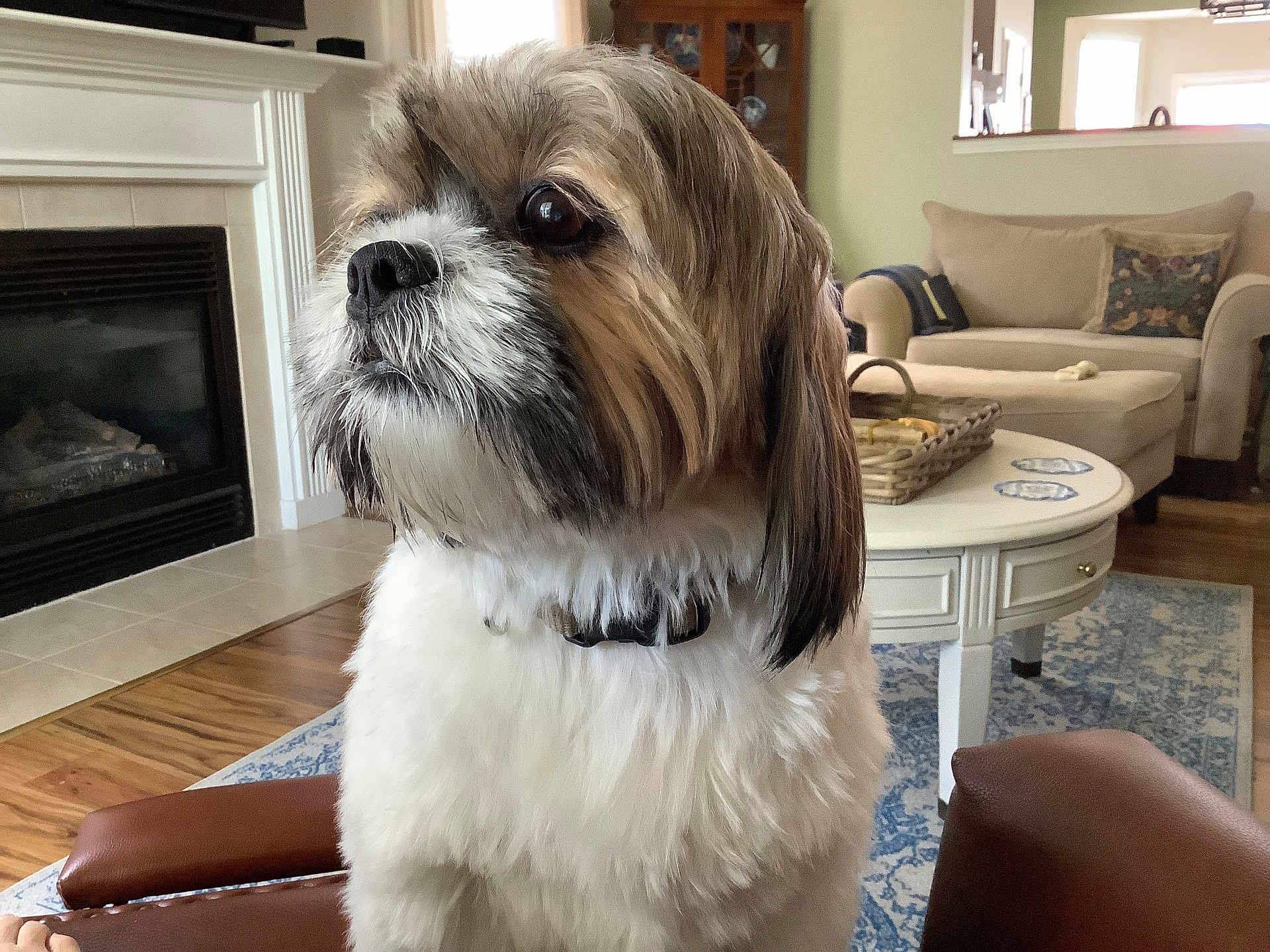 Tucker